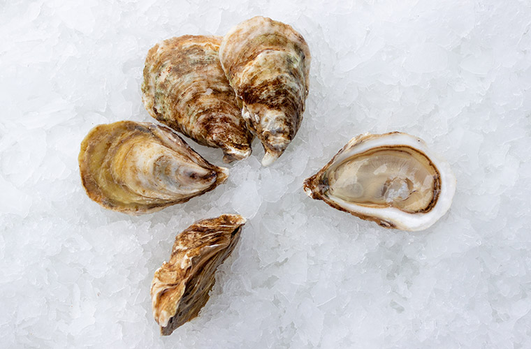 Savage Blonde Oyster — Oysterology Online Pangea Shellfish Company